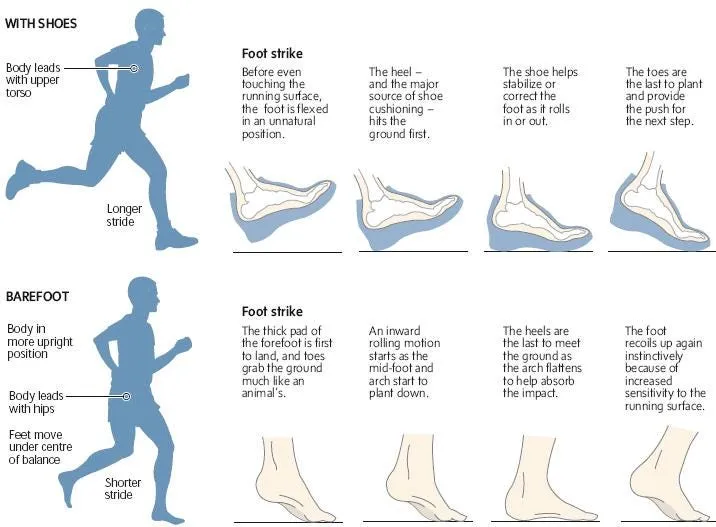Source: http://www.healthynomics.com/2010/02/running-barefoot-and-barefoot-alternatives/